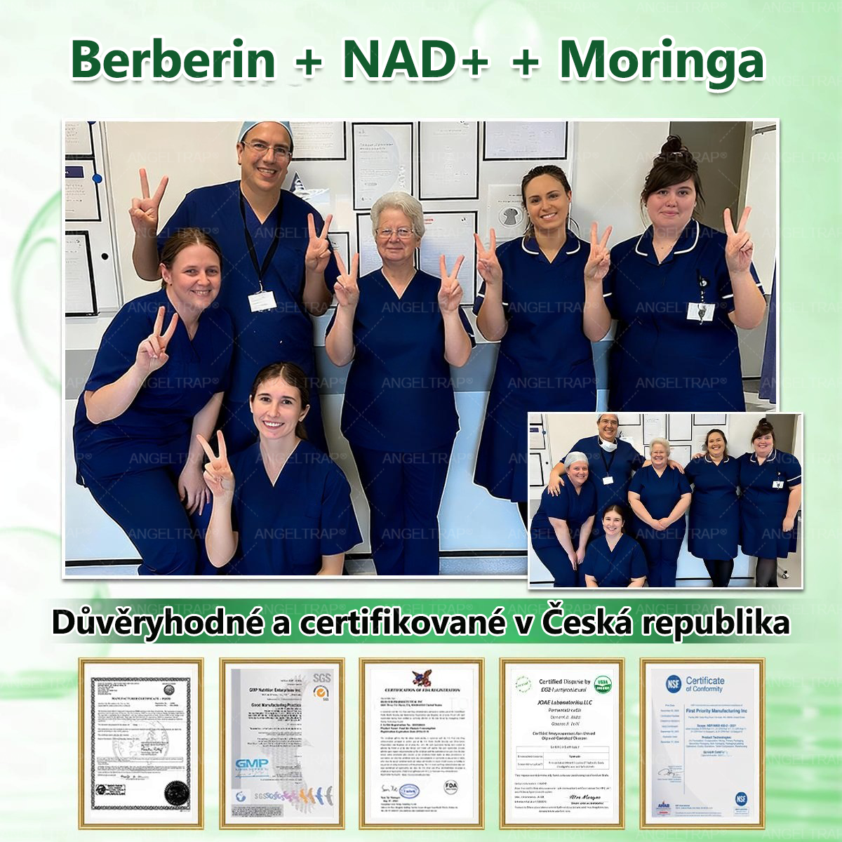⚡ Speciální nabídka – sleva 50 % jen dnes! 🏥 𝑨𝑵𝑮𝑬𝑳𝑻𝑹𝑨𝑷® 10-in-1 nano mikrojihlová náplast 🍃 Podpora metabolismu · energie · rovnováhy ⏰ Nezmeškejte – přidejte do košíku nyní!