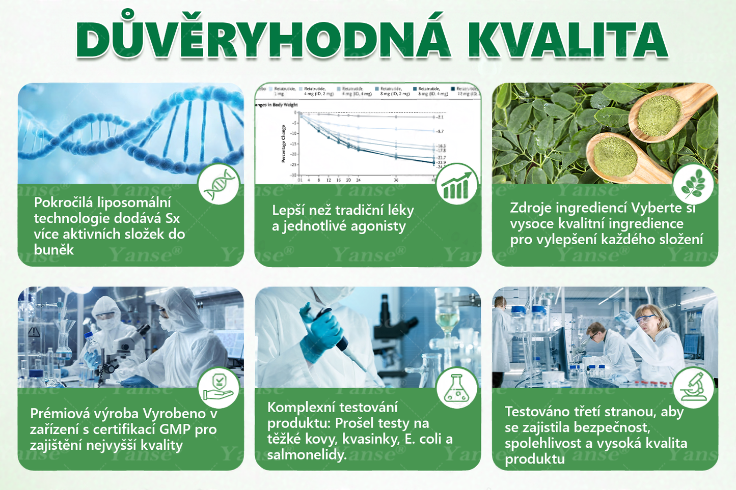 🇨🇿 Oficiální obchod | 💎💎 Yanse® Moringa · Berberin x NAD+ 10 v 1 náplast (aplikace jednou denně, viditelné výsledky po 7 dnech) ✅ Používá se k léčbě obezity, ochablé pleti, diabetu, spánkové apnoe a poruch chuti.
