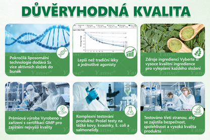 🇨🇿 Oficiální obchod | 💎💎 Yanse® Moringa · Berberin x NAD+ 10 v 1 náplast (aplikace jednou denně, viditelné výsledky po 7 dnech) ✅ Používá se k léčbě obezity, ochablé pleti, diabetu, spánkové apnoe a poruch chuti.