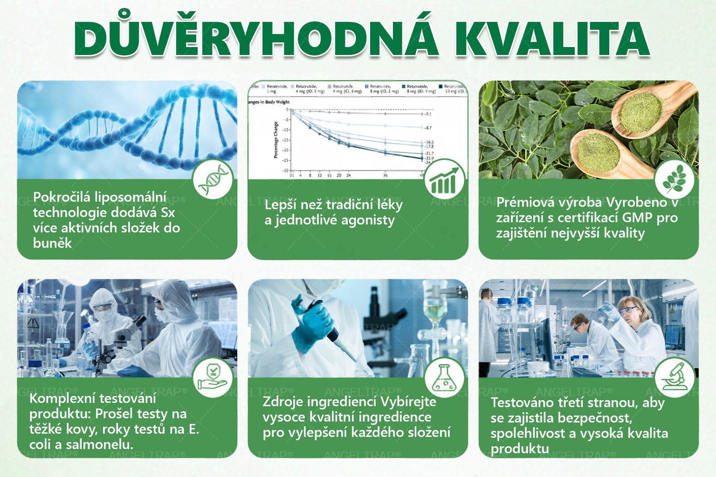 🇨🇿 Oficiální prodejna  |  🥇𝑨𝑵𝑮𝑬𝑳𝑻𝑹𝑨𝑷® 𝐌𝐨𝐫𝐢𝐧𝐠𝐚 × 𝐁𝐞𝐫𝐛𝐞𝐫𝐲𝐧𝐚 × 𝐀𝐌𝐏𝐊 𝟏𝟎 v 1 – Zeštíhlující nano mikrojihlový náplast 🇨🇿 Jen 1× denně ✅ Viditelné změny za 7 dní – na obezitu, kardiovaskulární zdraví, diabetes a kloubní problémy